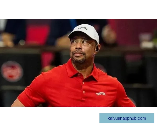 刹不住的泰格·伍兹与口袋里两粒神秘药丸的故事揭秘